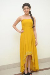 Pranitha at Alludu Seenu Audio Launch
